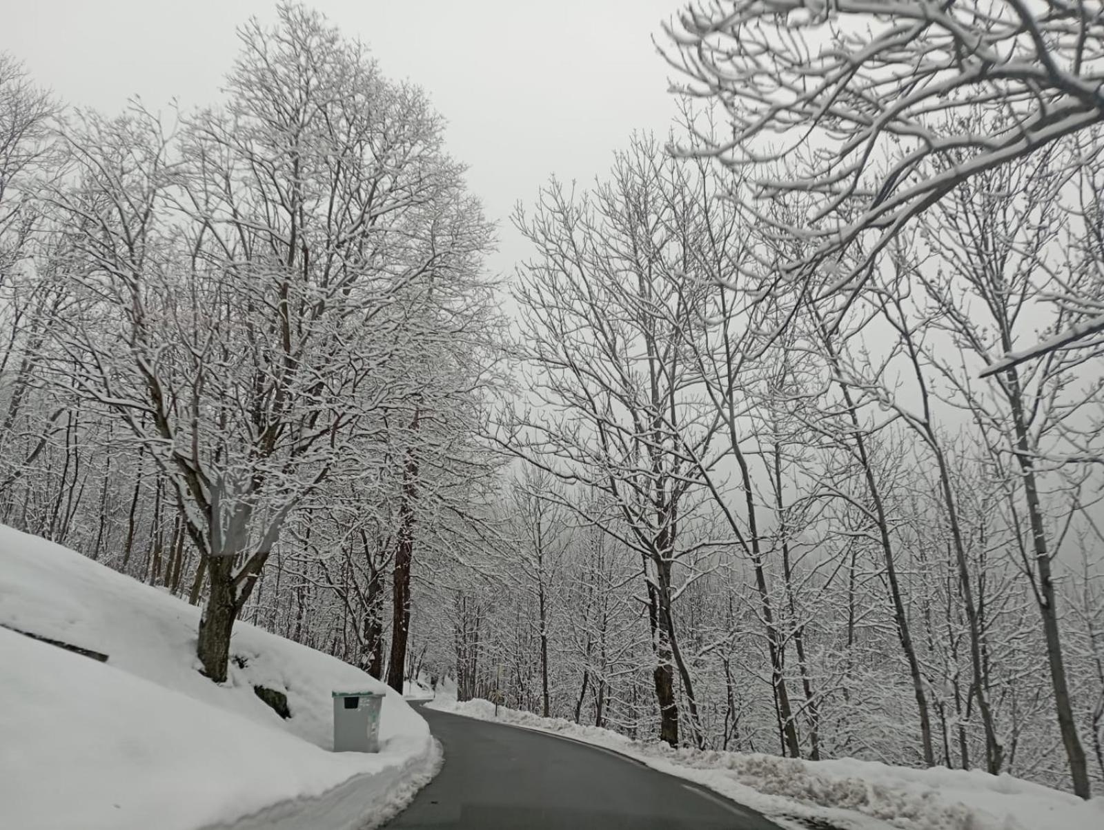Ca Ad Me Pare Alloggio Con Terrazza Panoramica มอนเชนิซิโอ ภายนอก รูปภาพ